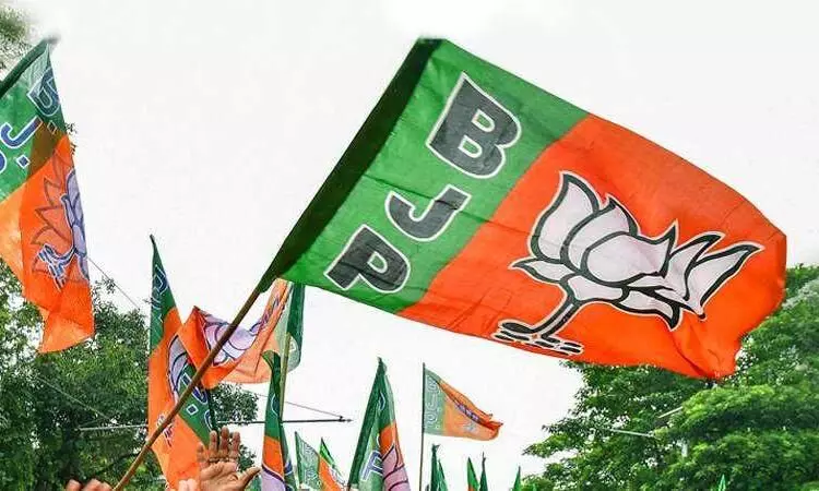 Zafar Islam BJP candidate for UP Rajya Sabha bypoll