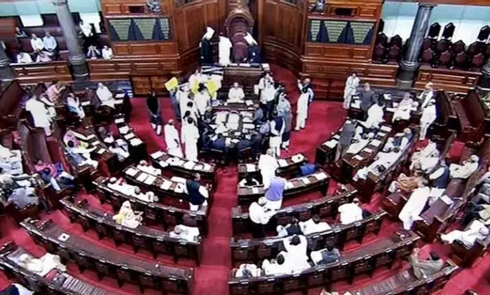 Rajya Sabha passes Homoeopathy Bills