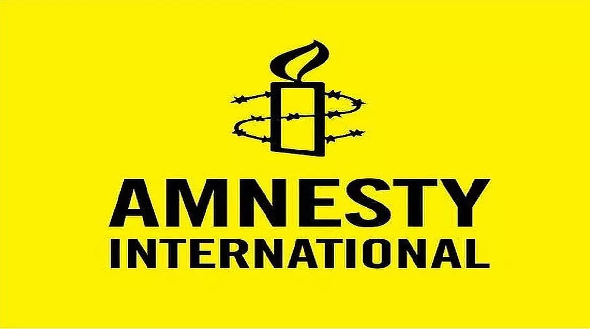 Amnesty India suspends work; cites govt reprisal