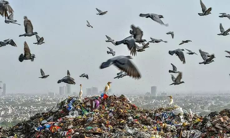 Garbage piles up in Agra as 44 more test corona positive