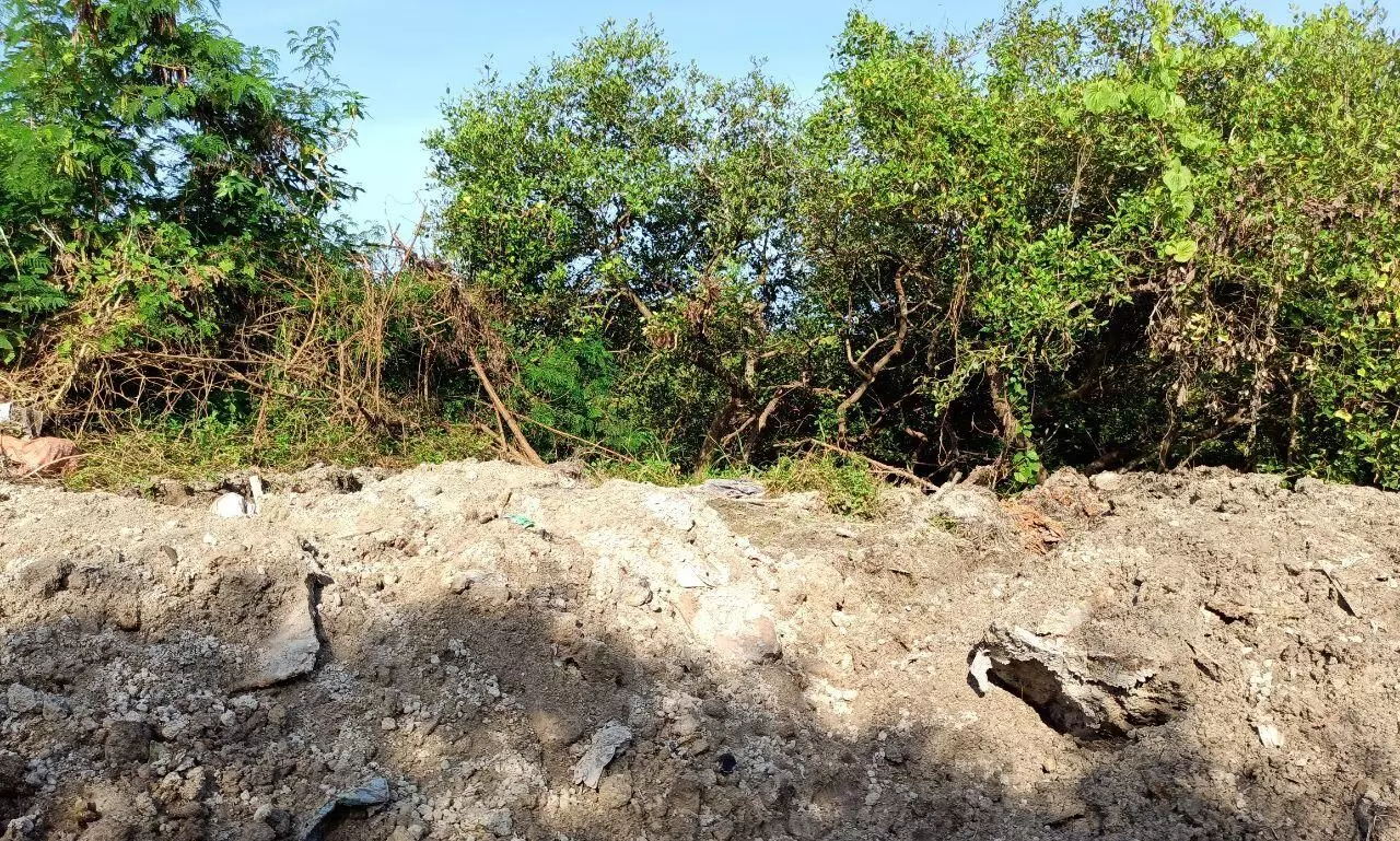 Plastic Menace Threatens Mangrove Forests of Kannurs Valapattanam