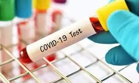 Covid 19: 8,253 people tested positive on Saturday in Kerala