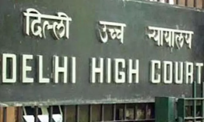 Delhi HC grants bail to Delhi riots accused Faizan Khan