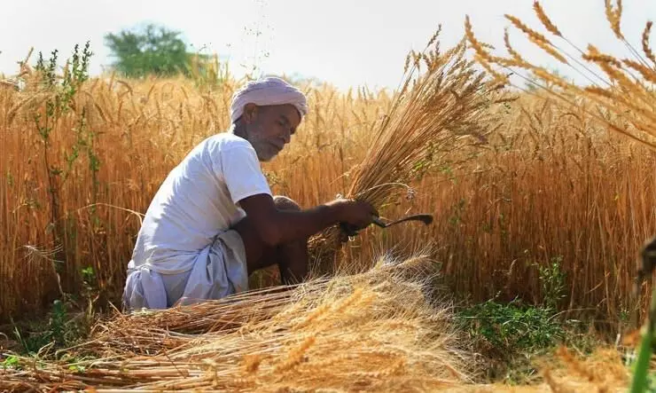 More needs to be done: Akali Dal on farm Bills