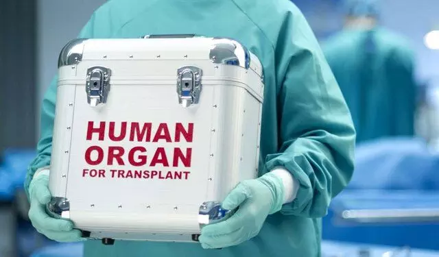 Organ transplant scam unearthed, detailed probe on