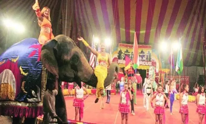 Indias circus troupes for final curtain call