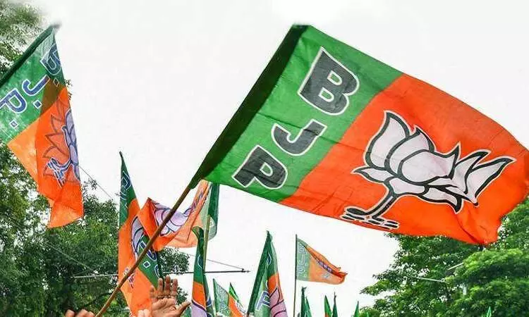 Bihar polls: BJP could emerge as biggie, as others trail