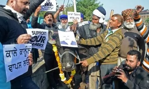 Peaceful protest bedrock of human rights, SCBA condemns use of force against farmers