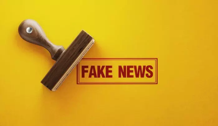 Fake News - Made in India?