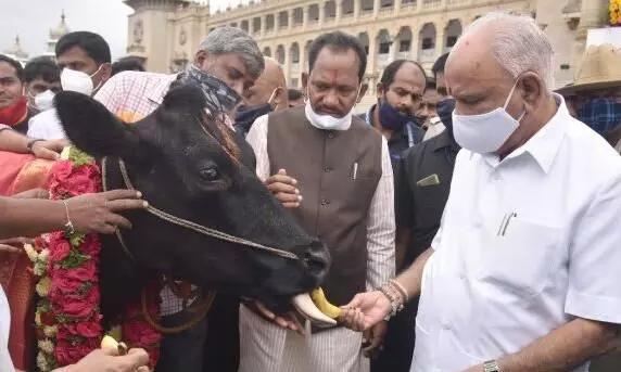 Anti cow-slaughter bill that slaughters rights