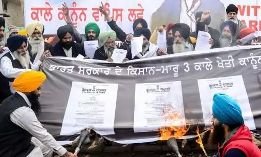 50 days of Farmers protest: Over 50 commit suicide, 70 deaths