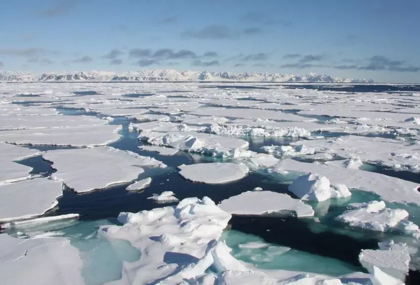 Earth loses ice at a devastating rate of 1.3 trillion per year, finds new study