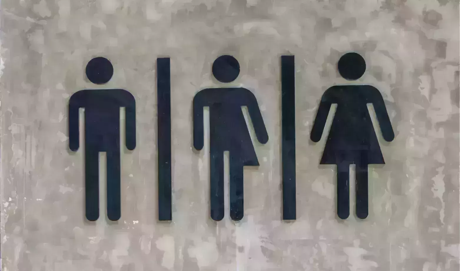 Delhi to build separate public toilets for trans community