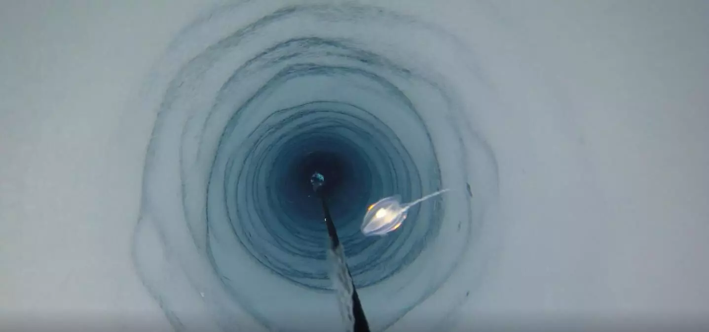 Discovery of strange creatures under an ice shelf in Antarctica