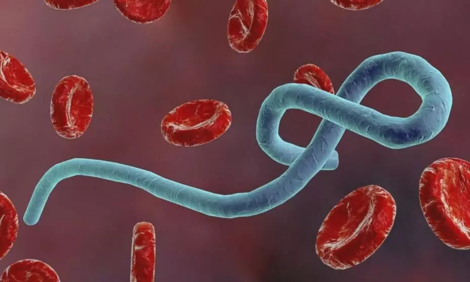 Guinea confirms Ebola outbreak