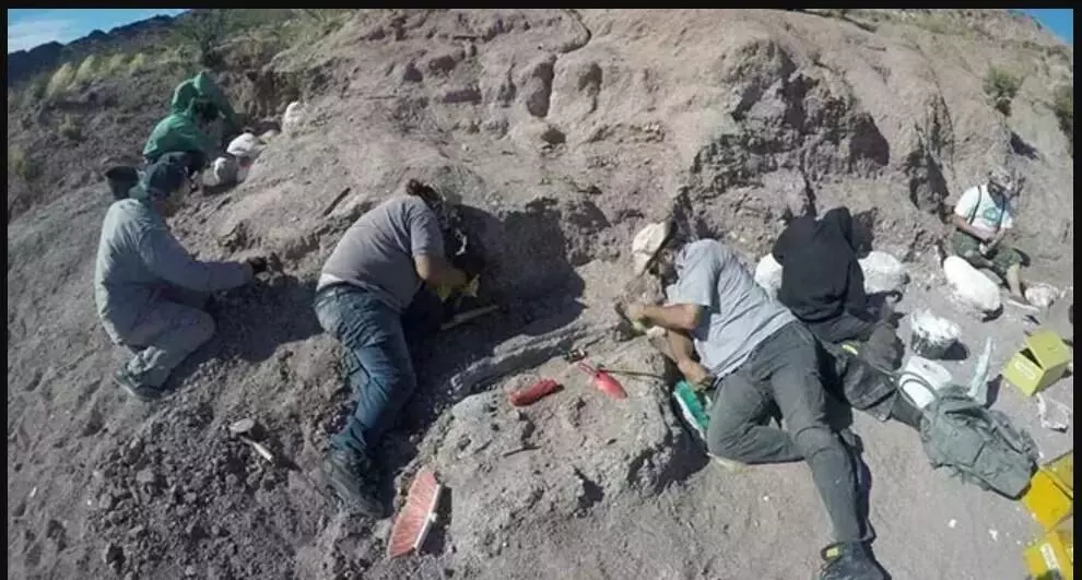 14 billion year-old dinosaur fossils unearthed in Argentina