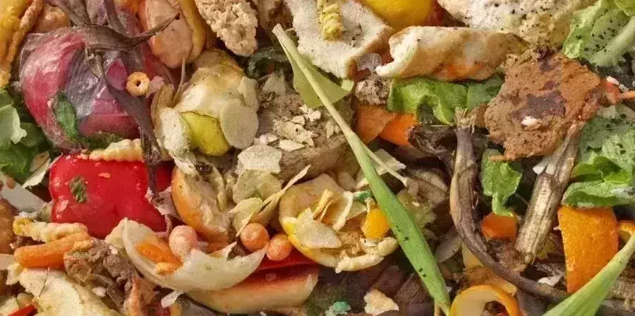 17 per cent of food wasted at consumer level – UN report
