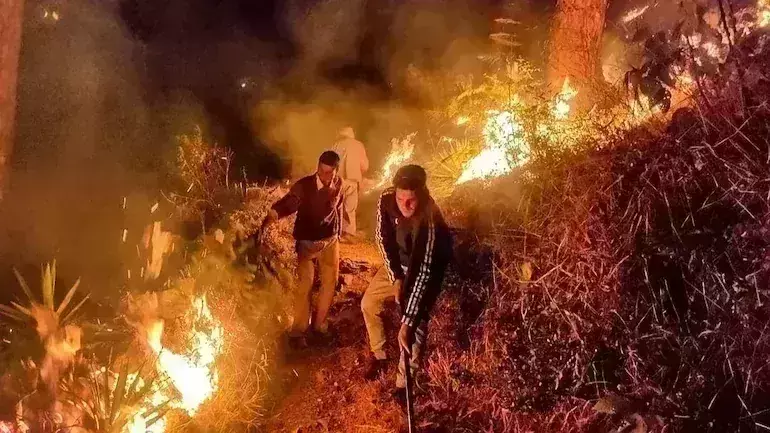 Uttarakhand forests ablaze since October 20