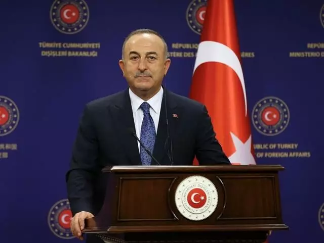 Turkey soon to reset ties with Egypt: Turkish FM