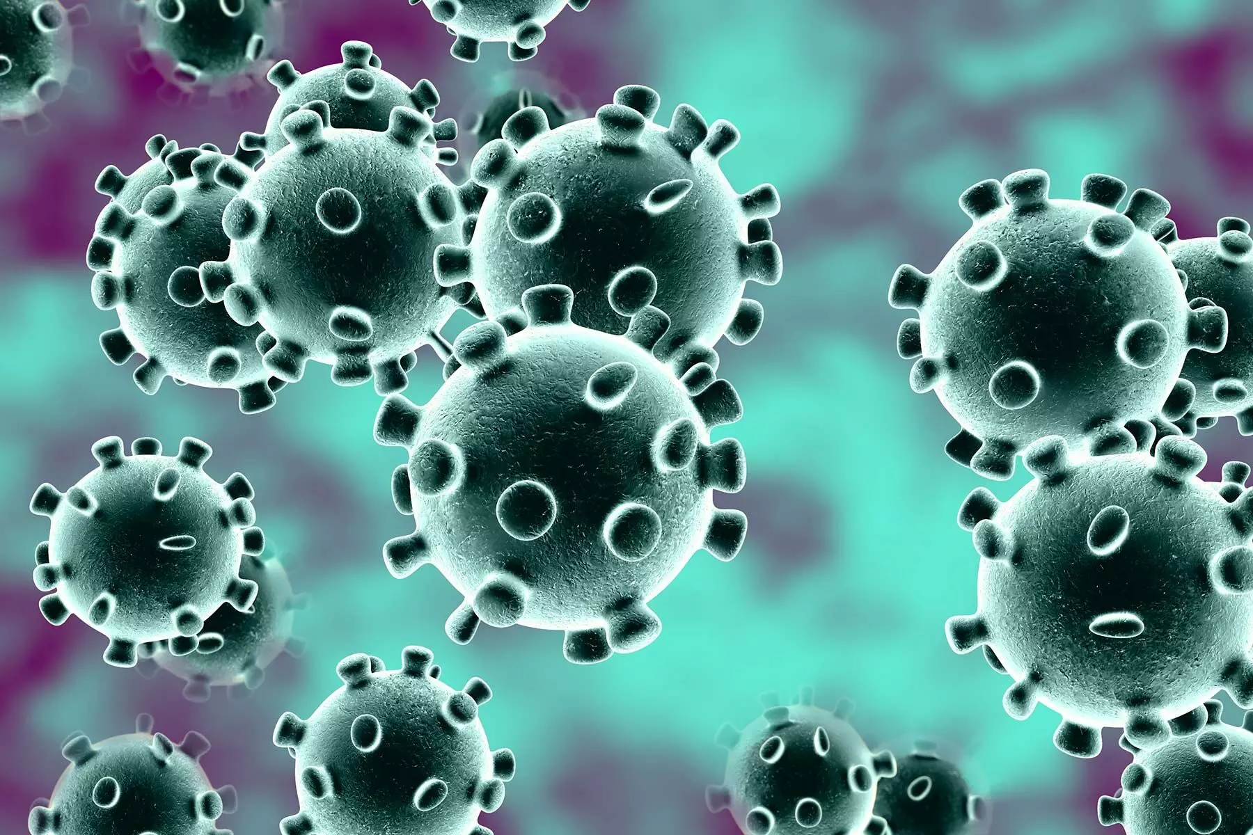 Outbreaks of small infections pose risk of future pandemics: study