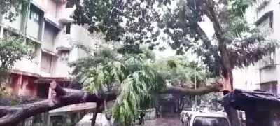 Mumbai under Cyclone Tauktae fury: More damages on ground