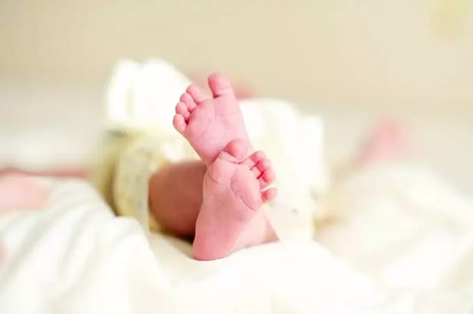 Rats nibble newborns feet at govt hospital in Indore; two terminated