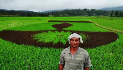 This teacher quits job to turn paddy fields into canvas to promote farming