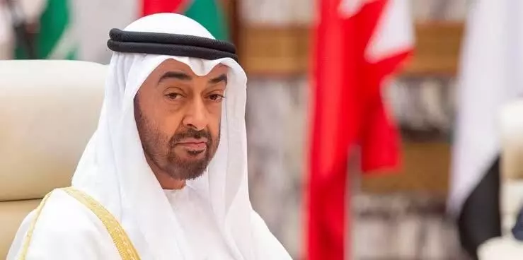 UAE shows willingness to add up efforts towards Israel-Palestine peace