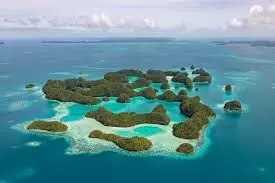 Pacific island Palau confirms its first COVID case