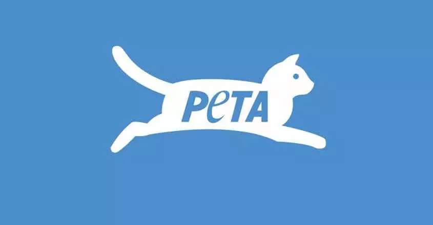 PETA requests DGCI to replace calves serum in vaccine production