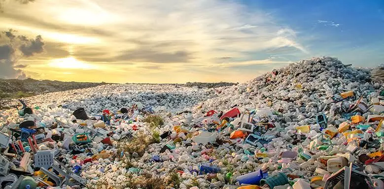 Study warns irreversible environmental impact due to plastic pollution