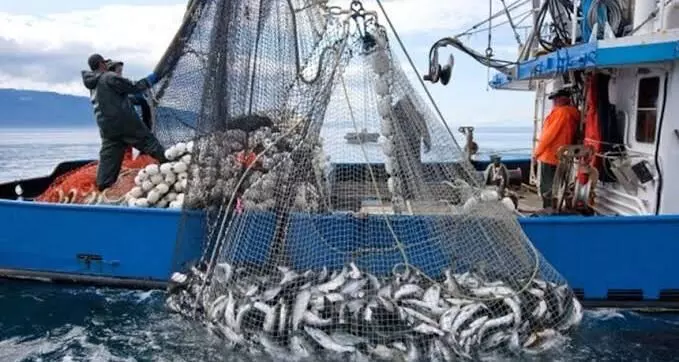 SAARC countries join hands to fight climate crisis in fisheries