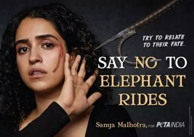 World Elephant Day: Sanya Malhotra joins hands with PETA India to say no to elephant rides