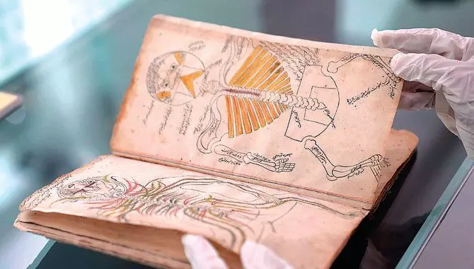 Riyadhs library receives rare 14th-century human anatomy manuscripts