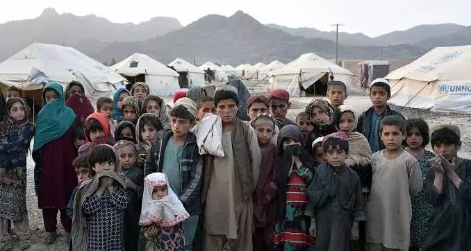736 Afghans recorded for new registration in India from Aug 1 to Sep 11: UNHCR