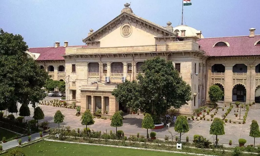 View live-in relationships from lens of personal autonomy, not social morality: Allahabad HC
