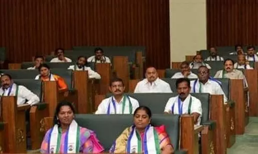 Andhra Pradesh assembly.