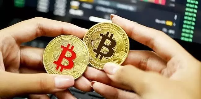 Crypto prices crash after govt plans law on banning private players