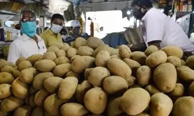Pepsicos potato patent revoked by Indian authority