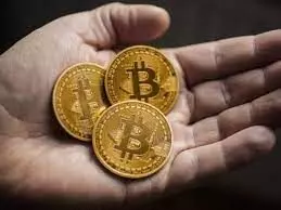Kerala man swindles over 1,200cr from 900 people through fake crypto