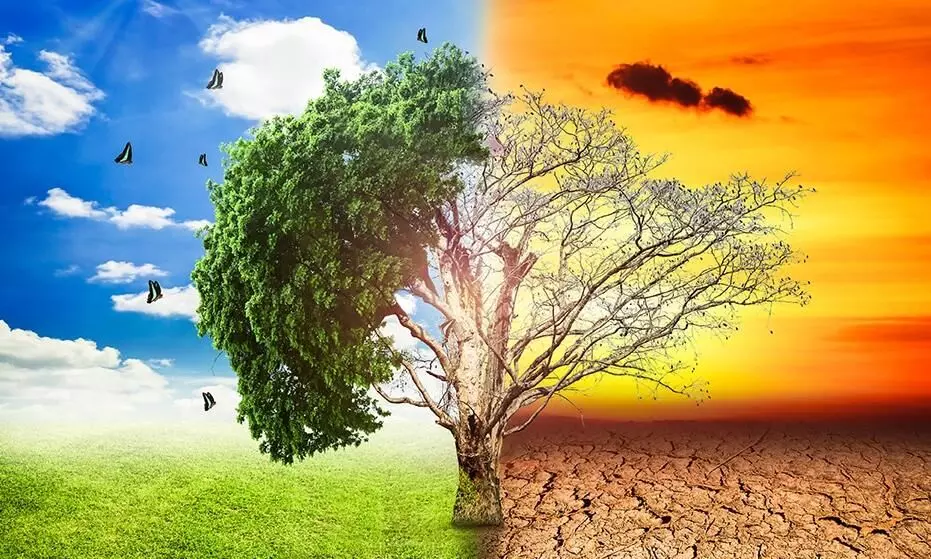2021 was the fifth warmest year in India since 1901: IMD