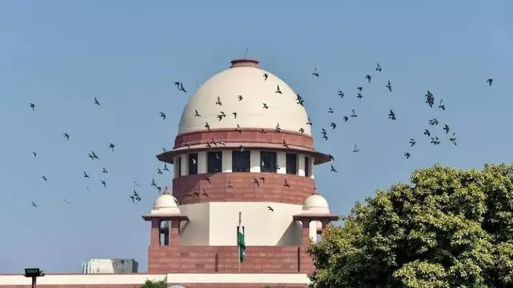 SC asks states to reach out to families, dont wait for them to file claims on Covid compensation