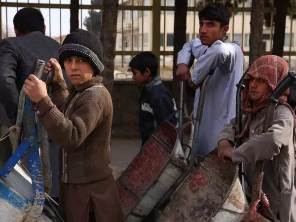 Desperate Afghans are selling their kidneys to feed starving families