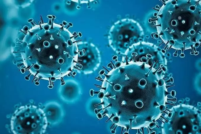 Highly infectious sub-variant of Omicron found in 57 countries: WHO