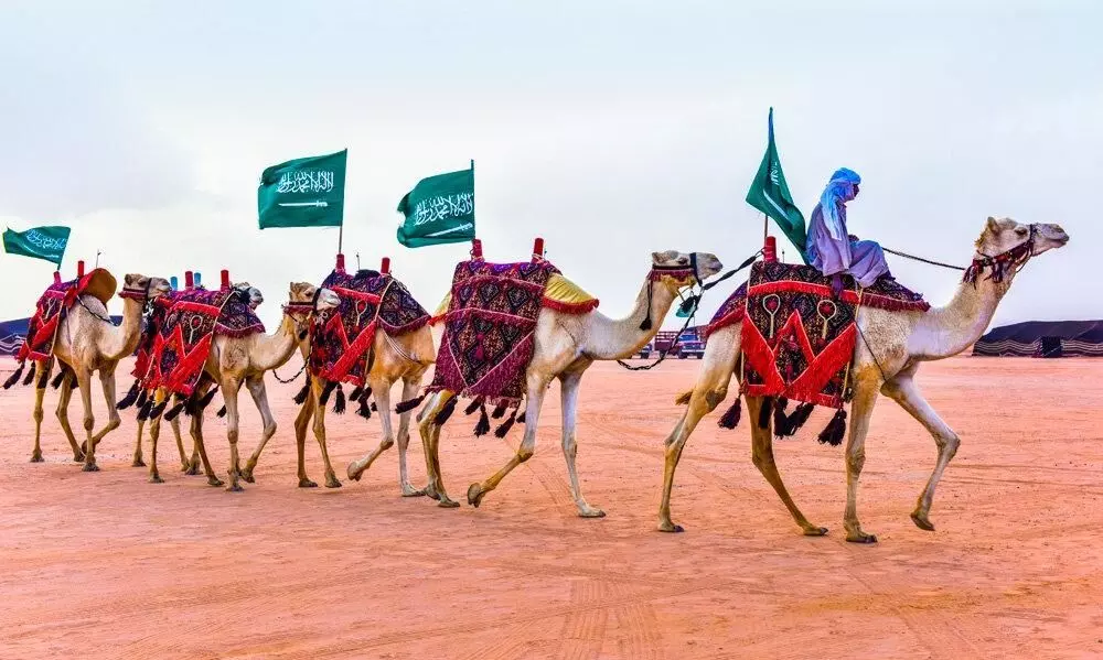 Saudi awards the first foreigner its highest camel contest prize