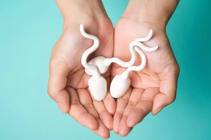 Air pollution may affect sperm motility says new Chinese study
