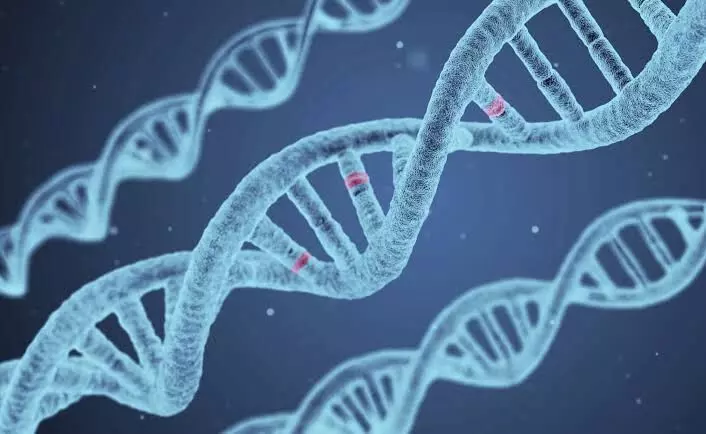 Scientists identify 16 genetic factors behind severe Covid symptoms