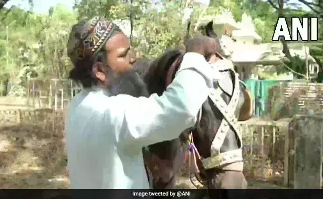 Man Buys Horse For Commuting, says a feasible option amid fuel price hike