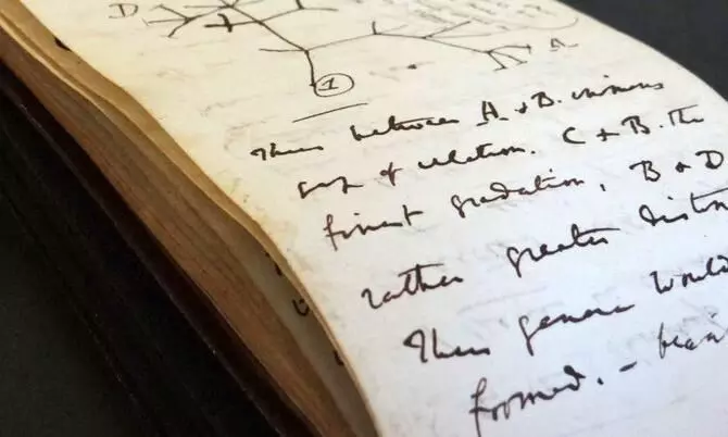 Stolen notebooks of Darwin returned after 20 years to Cambridge library