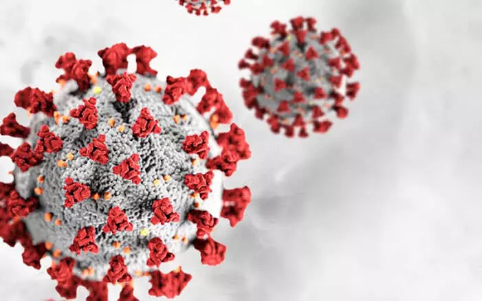 WHO warns coronavirus is far from becoming endemic